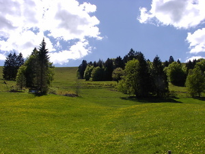 Landschaft im Schwarzwald - Ausflug in die Natur vom Felsenstüble Landschaft im Schwarzwald - Ausflug in die Natur vom Felsenstüble