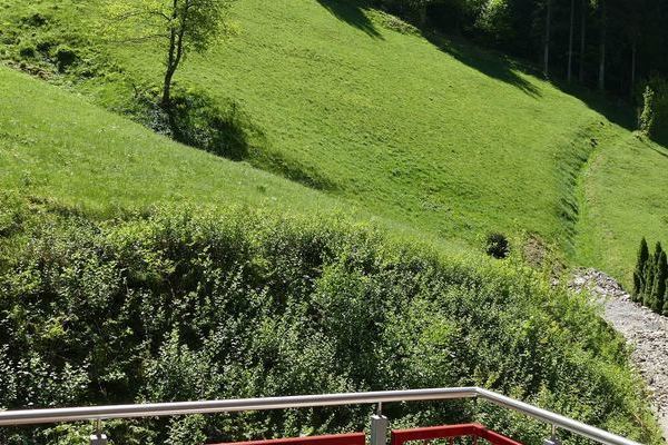 Blick vom Balkon der Ferienwohnung "Hornberg" des Gasthaus Felsenstble in St. Mrgen im Schwarzwald