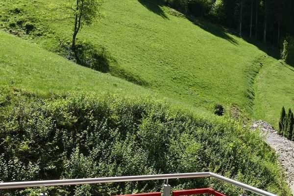 Blick von der Ferienwohnung "Hornberg" des Gasthaus Felsenstble in St. Mrgen im Schwarzwald